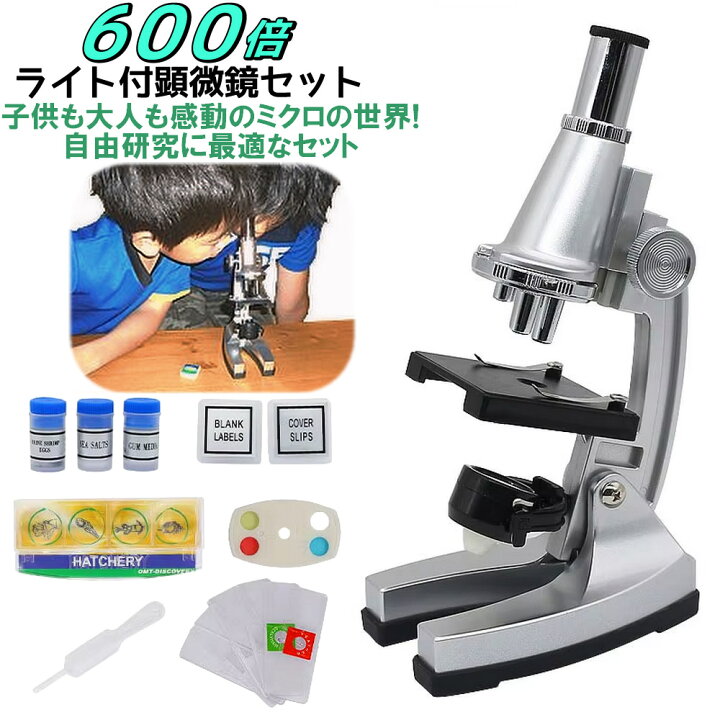 楽天市場】ライト照明付 100倍 - 600倍 顕微鏡 セット 標本サンプル 