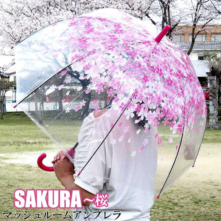 楽天市場 あす楽 送料無料 セレブマッシュルームアンブレラ バブル傘 ドーム傘 サクラ 桜柄 ピンク ドーム型 ビニール傘 かわいい 雨 の日をお洒落に アンブレラ ジャンプ傘 送料無料 レディース イベント プレゼント ハイビスカスステッカーのおまけ付 Ss