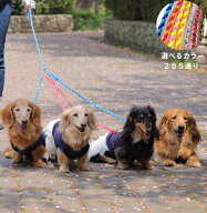 犬のリード　多頭用　追加用ショートリード パラコードペット用品【職人手作り】パラシュートコード4m利…