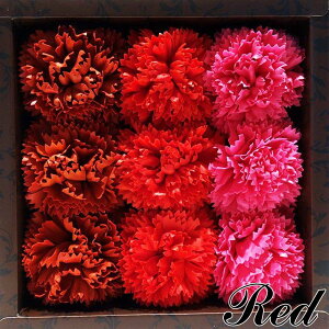 J[l[V̌`̓܁yԃOf[V9zoXtOX oX{ C fB[X 킢 ̎q Mtg v[g bNX t[ u[P  EFfBO 