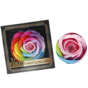 aΓ KN C{[t[ a Mtg \[vt[ Mtg o[Xf[C{[ Ϗܗp V{t[ tOX@Qt