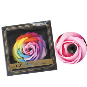 aΓ KN C{[t[ a Mtg \[vt[ Mtg o[Xf[C{[ Ϗܗp V{t[ tOX@Qt