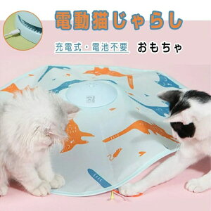 L炵  d L   lV ˂  lR  ] L ߋ ˂炵 LV Lpi ybgpi d邮 L Lp d Ђ V