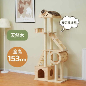 Lbg^[ ؐ u^ 153cm VR L^[LnEX B W] Ki ܂Ƃ ^s lR^[  lR ^[ 芴  ^[  ^L qL 