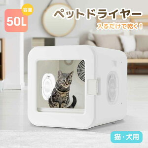 y10VzybghC[ ybghC[  L nEX ybg 50Le x UV ybgphC[ ybg@ p@  p L }P[X É 