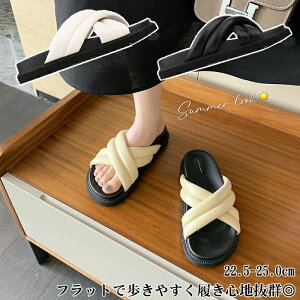 T_ fB[X ₷ pfbhtbgT_ JWA fB[X  T_  C ؂  q[T_ GKg 傫TCY ubN r ʋ ʊw 