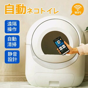 y2025NVdlzlRgC L gC LP[X Lp LgC  | dʃZT[ S  e  EL L | юUh~ X}z Av u ybg Ɠd