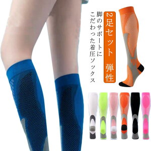 X|[c \bNX jp 2Zbg r nC\bNX C ނ݉  Y e 2Zbg   fB[X  X|[c\bNX O ʋCbV ނ ₦