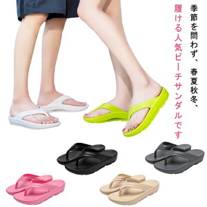 y  gOT_ p r[`T_ Y NbV fB[X ItBXT_ ₷ EVA ~  _炩 ɂ X|[eB JWA jp 