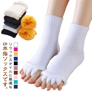 wL fB[X 5{w\bNX C O wZp[^[ Y w\bNX wJ  [\bNX Zs[\bNX X[sO\bNX K\bNX Q