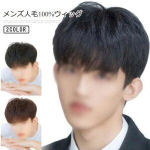 ウィッグ かつら ウェーブ メンズ 自然 ナチュラル ウィッグ カツラ 男性 軽量 人毛100% 全頭かつら 人毛かつら 人毛ウィッグ 通気性抜群 医療用ウイッグ カジュアル ビジネス 黒髪 茶髪