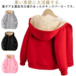 {A j̎q p[J[ WbvAbv  p[J[ LbY N t[ht AE^[ h q ӂӂ    {AWPbg XEFbg  [EFA J