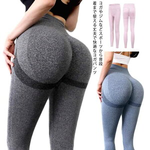 Kpc rMX KMX MX nCEGXg 傫TCY fB[X Xpbc qbvAbv g[jOpc X|[cEGA tBbglXpc Kpc p