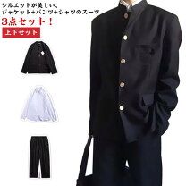楽天市場】学ラン 上下の通販