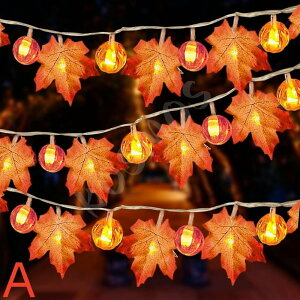 gt J{`Cg nEB LED 10m/6m/3m XgOCg ݂ LEDCg LEDC~l[V dr LEDd _/_ H̗t  Ɩ