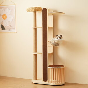 Lbg^[ L^[ Lbgc[ X 173.5cm u lR^[ 艺肵₷ ܂Ƃ|[ ؐ  qL ^L ybgpi 