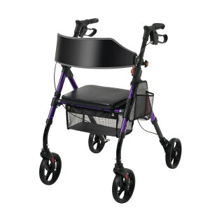 s s Vo[J[ Op 6iK ܂肽݉\ ʕt l LX^[t   U VjA s⏕   p[v