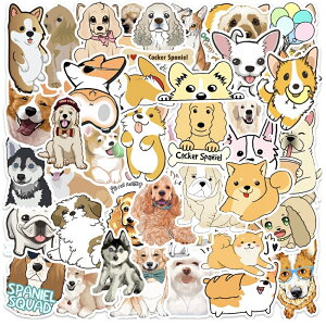 XebJ[50x2_Zbg  񂿂 v[h Č _VA V[  X[cP[X p\R wbg XP{[ hXebJ[  q CX^f Insta