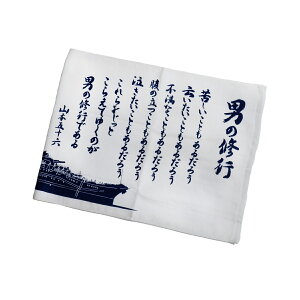 tFCX^I ʂ CR ͑a yamato }g j̏Cs R{܏\Z ^ i TAF014 q C㎩q E̖ qObY