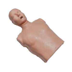 Prestan Sxh CPR }lL lp g[jO}lL S}bT[W P K AED ~} ~ CPRj^[t