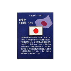 日の丸 ピンバッジ タイタック 日章旗 日本国旗 日本 ピンズ 長方形 ACP094 13×20mm 台紙付 【ネコポス配送】