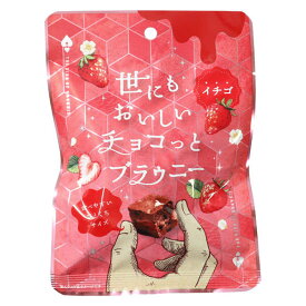 世にもおいしいチョコブラウニー/世にもおいしいチョコっとブラウニー　イチゴ/45g