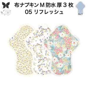 布ナプキン 昼用 特に多い日 過多月経 防水 厚手 M 尿もれ用 産後 3枚 セット 生理用品 生理用ショーツ 尿もれ 尿漏れ 吸水パット 尿ケア 軽失禁布 温活 妊活 防災 布 ナプキン 防水布入り 冷