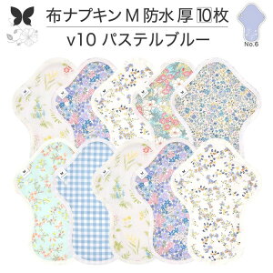 布ナプキン 昼用 特に多い日 過多月経 防水 厚手 M 尿もれ用 産後 10枚 セット 生理用品 生理用ショーツ 尿もれ 尿漏れ 吸水パット 尿ケア 軽失禁布 温活 妊活 防災 布 ナプキン 防水布入り 冷
