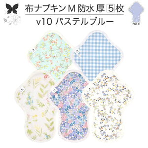 布ナプキン 昼用 特に多い日 過多月経 防水 厚手 M 尿もれ用 産後 5枚 セット 生理用品 生理用ショーツ 尿もれ 尿漏れ 吸水パット 尿ケア 軽失禁布 温活 妊活 防災 布 ナプキン 防水布入り 冷