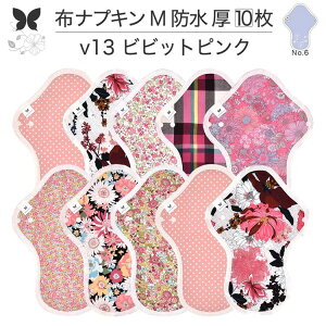 布ナプキン 昼用 特に多い日 過多月経 防水 厚手 M 尿もれ用 産後 10枚 セット 生理用品 生理用ショーツ 尿もれ 尿漏れ 吸水パット 尿ケア 軽失禁布 温活 妊活 防災 布 ナプキン 防水布入り 冷