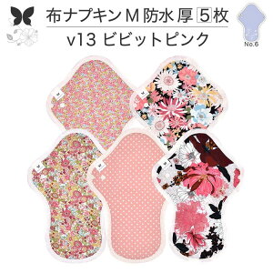 布ナプキン 昼用 特に多い日 過多月経 防水 厚手 M 尿もれ用 産後 5枚 セット 生理用品 生理用ショーツ 尿もれ 尿漏れ 吸水パット 尿ケア 軽失禁布 温活 妊活 防災 布 ナプキン 防水布入り 冷