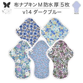 布ナプキン 昼用 特に多い日 過多月経 防水 厚手 M 尿もれ用 産後 5枚 セット 生理用品 生理用ショーツ 尿もれ 尿漏れ 吸水パット 尿ケア 軽失禁布 温活 妊活 防災 布 ナプキン 防水布入り 冷え 暖かい 防水布 子宮 を 温め グッズ 送料無料