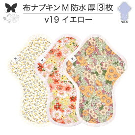 布ナプキン 昼用 特に多い日 過多月経 防水 厚手 M 尿もれ用 産後 3枚 セット 生理用品 生理用ショーツ 尿もれ 尿漏れ 吸水パット 尿ケア 軽失禁布 温活 妊活 防災 布 ナプキン 防水布入り 冷え 暖かい 防水布 子宮 を 温め グッズ 送料無料