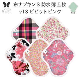 布ナプキン 昼用 軽い日 ふつうの日 多い日 尿もれ用 防水 薄型 S 5枚 セット 生理用品 生理用ショーツ 尿もれ 尿漏れ 吸水パット セット 温活 妊活 防災 布 ナプキン 防水布入り ニット生理 カイロ オーガニックコットン 送料無料