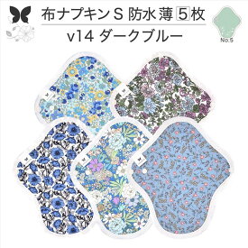 布ナプキン 昼用 軽い日 ふつうの日 多い日 尿もれ用 防水 薄型 S 5枚 セット 生理用品 生理用ショーツ 尿もれ 尿漏れ 吸水パット セット 温活 妊活 防災 布 ナプキン 防水布入り ニット生理 カイロ オーガニックコットン 送料無料