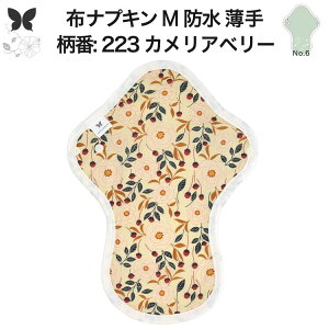 布ナプキン 昼用 ふつうの日 防水 尿もれ用 薄手 M 尿もれ 尿漏れ 吸水パット 尿ケア 軽失禁ショーツ 軽失禁パンツ 生理用ショーツ 布 ナプキン ニット 生地 温活 妊活 防災 布 ナプキン 防水