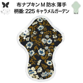 布ナプキン 昼用 ふつうの日 防水 尿もれ用 薄手 M 尿もれ 尿漏れ 吸水パット 尿ケア 軽失禁ショーツ 軽失禁パンツ 生理用ショーツ 布 ナプキン ニット 生地 温活 妊活 防災 布 ナプキン 防水布入り 冷え 防水布