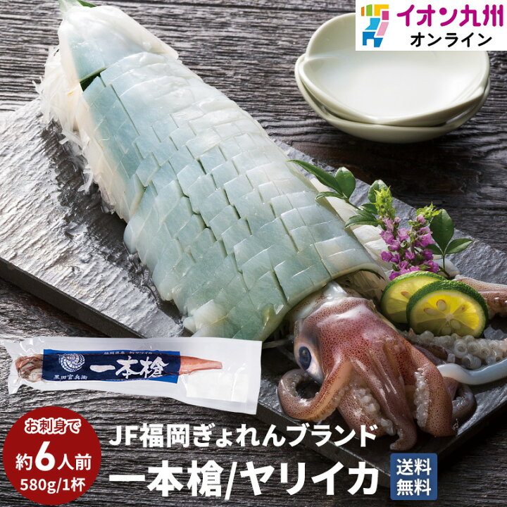 楽天市場 イカ 刺身 Jfふくおか 一本槍いか 剣先いか 580g 福岡県産 ケンサキイカ 冷凍 一本槍イカ 姿造り 肝臓 墨 口 軟骨 産地直送 新鮮 揚げ 炒め 唐揚げ 天ぷら 七輪焼 イオン九州 送料無料 旬 ギフト 贈答用 お土産 海鮮 イオン九州オンライン