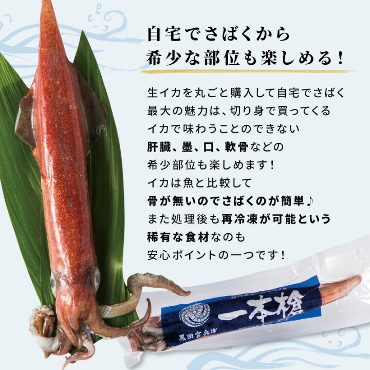 楽天市場 イカ 刺身 Jfふくおか 一本槍いか 剣先いか 580g 福岡県産 ケンサキイカ 冷凍 一本槍イカ 姿造り 肝臓 墨 口 軟骨 産地直送 新鮮 揚げ 炒め 唐揚げ 天ぷら 七輪焼 イオン九州 送料無料 旬 ギフト 贈答用 お土産 海鮮 イオン九州オンライン