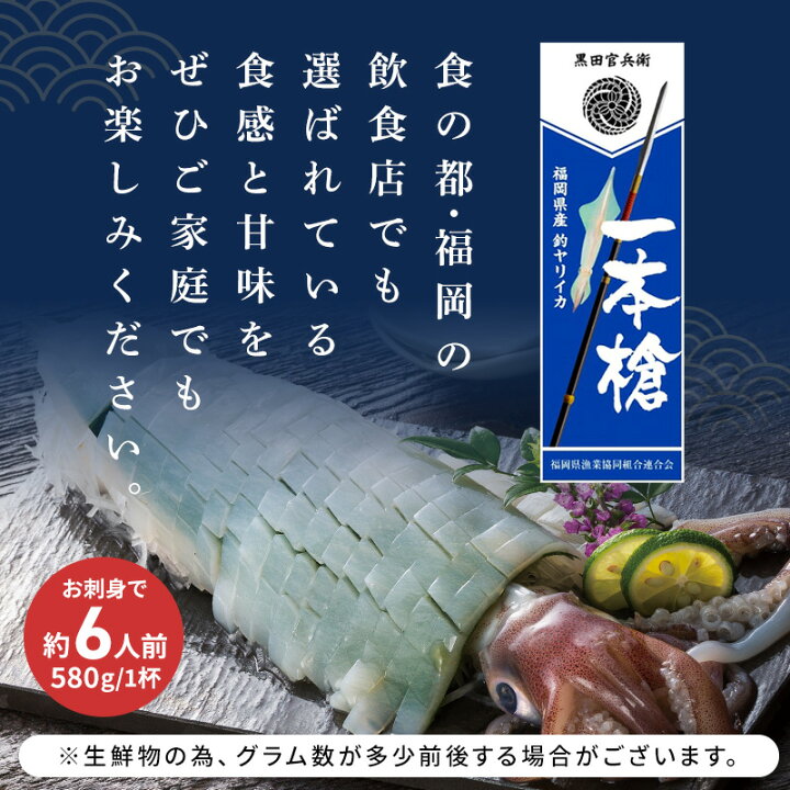 楽天市場 最大700円offクーポン配布中 5 16 9 59 イカ 刺身 Jfふくおか 一本槍いか 剣先いか 580g 福岡県産 ケンサキイカ 冷凍 一本槍イカ 姿造り 肝臓 墨 口 軟骨 産地直送 新鮮 揚げ 炒め 唐揚げ 天ぷら 七輪焼 イオン九州 送料無料 旬 ギフト 贈答用 お土産 海鮮