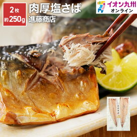 塩さば 進藤商店 干物 ひもの 福岡 糟屋郡 干物専門店 新宮海岸 魚 鯖 さば サバ 塩 しお 塩サバ しおさば 老舗 お取り寄せ お取寄せ グルメ イオン九州