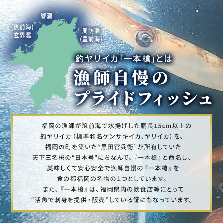 2394円 本店は 剣先イカ 特大1本 1箱1杯 合計600g-700g 旬の鮮魚セット 玄界灘産 ヤリイカ 福岡県鐘崎漁港産 墨取り済み活魚を絞めて出荷 送料無料 2394円 本店は 剣先イカ 特大1本 1箱1杯 合計600g-700g 旬の鮮魚セット 玄界灘産 ヤリイカ 福岡県鐘崎漁港産 墨取り済み活魚を絞めて出荷 送料無料