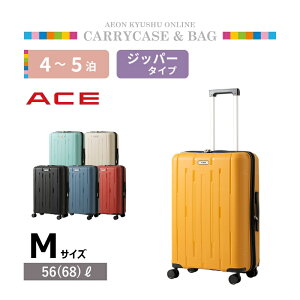 ACE CXg[ 56L MTCY CG[