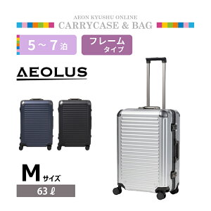 yP3{11/25 0:00~11/26 9:59z AEOLUS t[^CvL[ AEO-5500 M N[Vo[