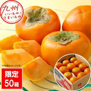 yő500~OFFN[|zz11/20 20:00~11/27 9:59z xL` qY 10kg(36ʓ)  ` ʕ  t[c {̃t[c Ԍ  ̊`