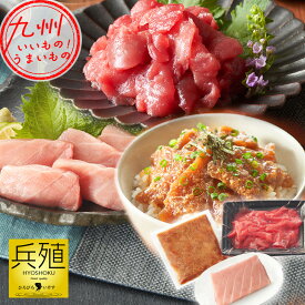 【P3倍★8/10 0:00~8/18 9:59】 中トロ・中おち1P・ひゅうが丼1P 【お試しセットA】