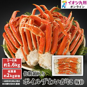 yő500~OFFN[|zz12/4 20:00~12/11 9:59z {C킢Ɍ@5`6@yϔz