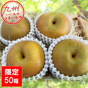 【P3倍★10/25 0:00~10/27 9:59】 ジューシーですっきりした甘さ! 王秋1.7kg(4玉入) 霧島さくらフルーツランド