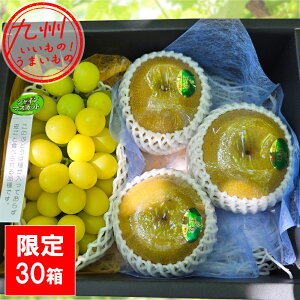 yő500~OFFN[|zz11/20 20:00~11/27 9:59z VC}XJbg{H@ԂǂEZbg 1.7kg t[ch