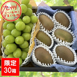 yő500~OFFN[|zz11/20 20:00~11/27 9:59z VC}XJbg{LECi3jԂǂELECZbg 1.3kg t[ch